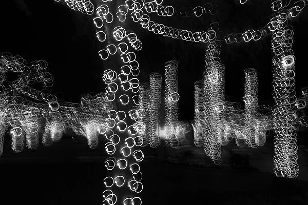 USA, Arizona, Buckeye. Black and white abstract of decorated trees at night during