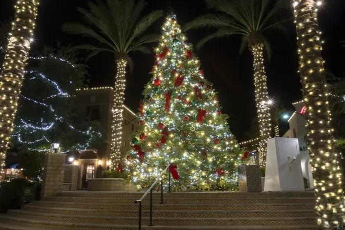 Framed Print : USA, Arizona, Buckeye. Christmas tree in the village square at night