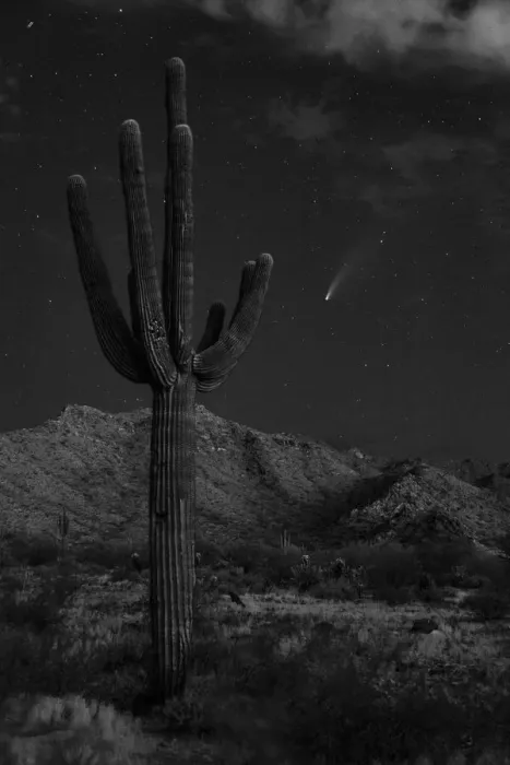 Framed Print : USA, Arizona, Buckeye. Comet Neowise spews trail over White Tank Mountains and desert