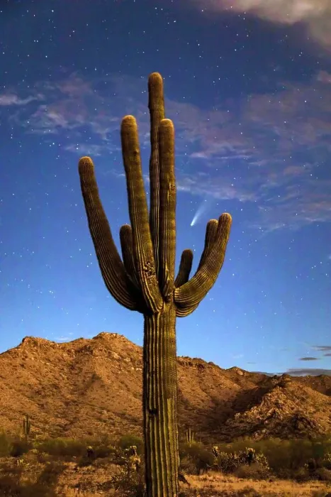 Framed Print : USA, Arizona, Buckeye. Comet Neowise spews trail over White Tank Mountains and desert Framed Print : USA, Arizona, Buckeye. Comet Neowise spews trail over White Tank Mountains and desert