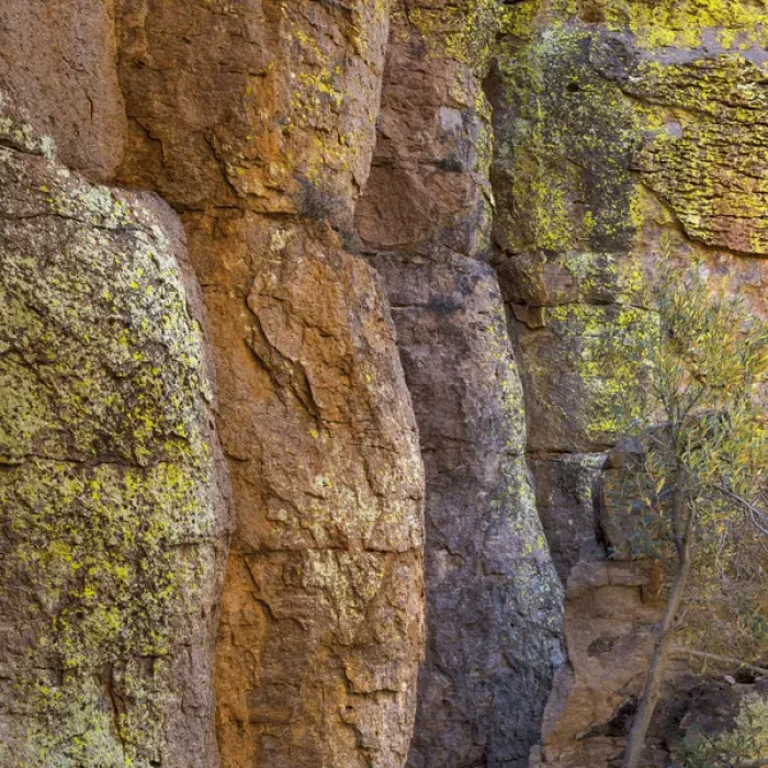 Framed Print : USA, Arizona, Chiricahua National Monument Framed Print : USA, Arizona, Chiricahua National Monument