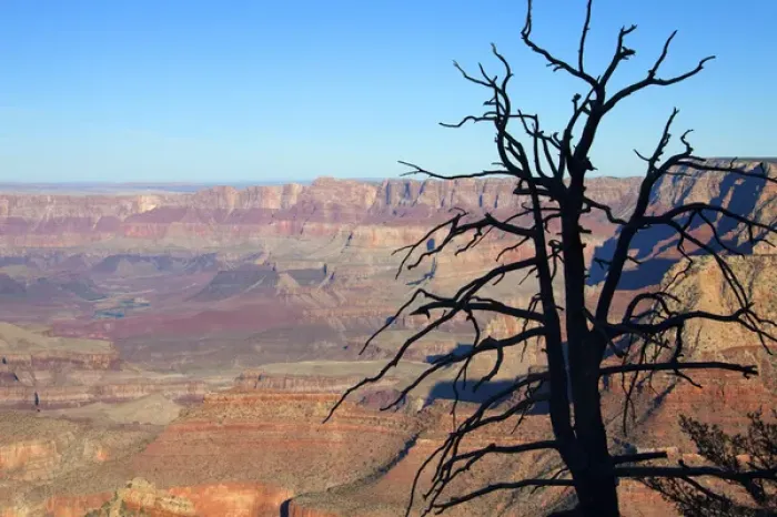 Framed Print : USA, Arizona, Grand Canyon. The Grand Canyon, a UNESCO World Heritage Site, view Framed Print : USA, Arizona, Grand Canyon. The Grand Canyon, a UNESCO World Heritage Site, view