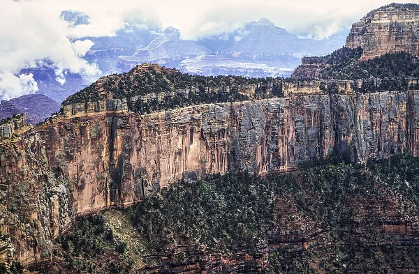 USA, Arizona, Grand Canyon National Park, North Rim, View from Wedding Point at Cape