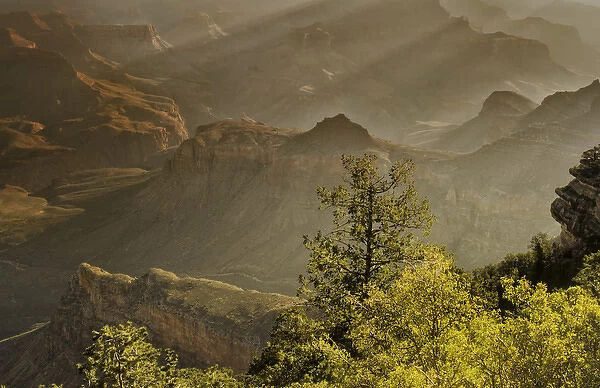USA, Arizona, Grand Canyon National Park. Sunrise God rays shine on park formations