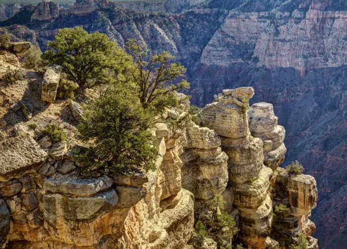 Framed Print : USA, Arizona, Grand Canyon National Park, Rocks and trees at Grandview Point