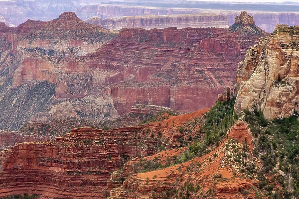 USA, Arizona, Grand Canyon National Park. Landscape from North Rim of Roosevelt Point