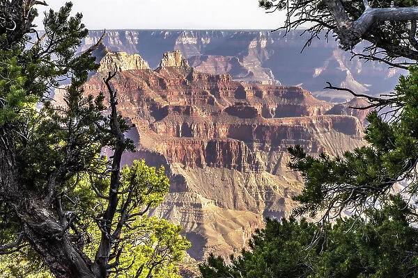 USA, Arizona, Grand Canyon National Park. Landscape from North Rim of Bright Angel Point