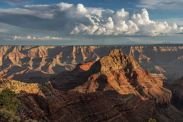 USA, Arizona, Grand Canyon National Park. Landscape with North Rim canyon formations at sunset