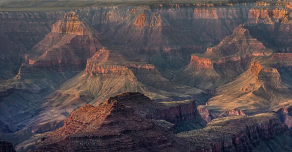 USA, Arizona, Grand Canyon National Park. Canyon panoramic at sunrise