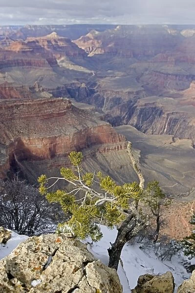 USA, Arizona, Grand Canyon National Park. Grand Canyon in winter, as seen from Yavapai Point