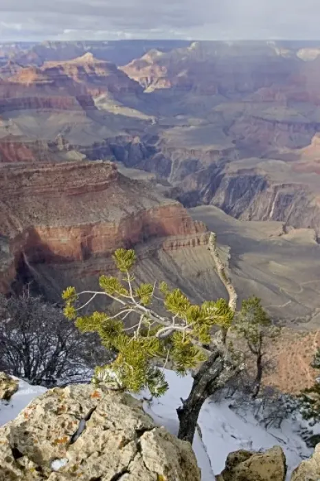 Framed Print : USA, Arizona, Grand Canyon National Park. Grand Canyon in winter, as seen from Yavapai Point Framed Print : USA, Arizona, Grand Canyon National Park. Grand Canyon in winter, as seen from Yavapai Point