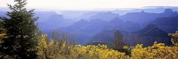 USA, Arizona, Grand Canyon NP. Point Imperial, at 8, 801 feet above sea level, is