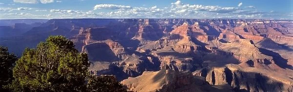 USA, Arizona, Grand Canyon NP. Soft afternoon light colors the scene from Mather Point