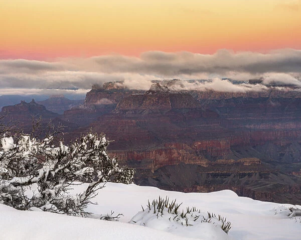 USA, Arizona, Grand Canyon. Winter sunrise on canyon