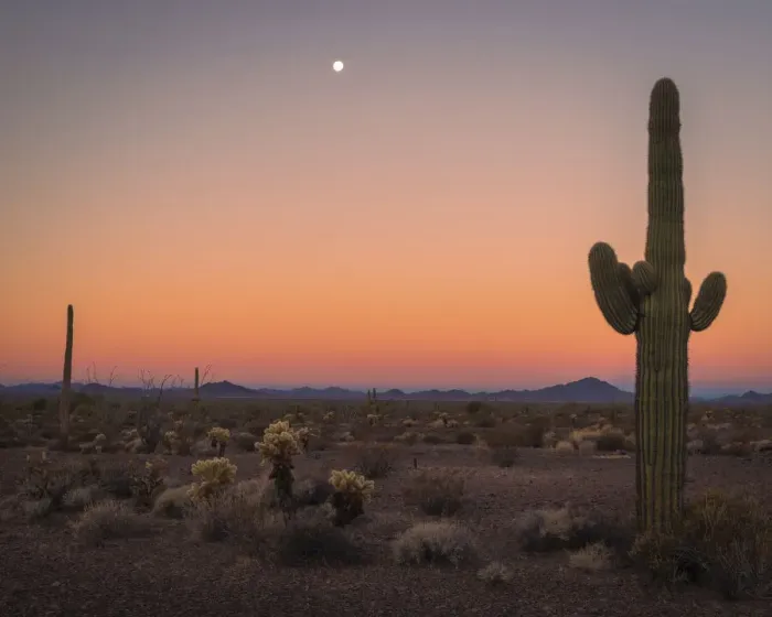 Framed Print : USA, Arizona, Kofa National Wildlife Area. Mountain and desert landscape at sunset Framed Print : USA, Arizona, Kofa National Wildlife Area. Mountain and desert landscape at sunset