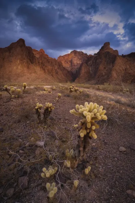 Framed Print : USA, Arizona, Kofa National Wildlife Area. Mountain and desert landscape Framed Print : USA, Arizona, Kofa National Wildlife Area. Mountain and desert landscape