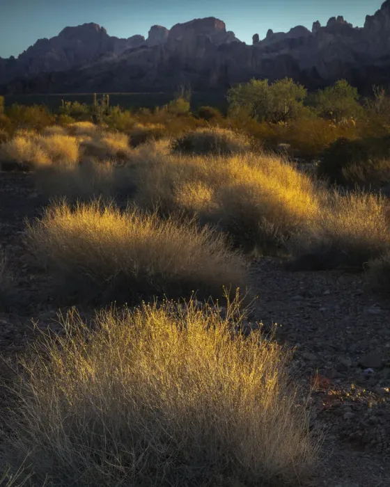 Framed Print : USA, Arizona, Kofa National Wildlife Area. Mountain and desert landscape at sunrise Framed Print : USA, Arizona, Kofa National Wildlife Area. Mountain and desert landscape at sunrise