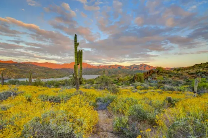 Framed Print : USA, Arizona, Lake Bartlett, Cave Creek. Sunset on desert landscape Framed Print : USA, Arizona, Lake Bartlett, Cave Creek. Sunset on desert landscape
