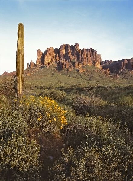 USA, Arizona, Lost Dutchman SP. Legend has it that there is a gold mine near Lost Dutchman SP
