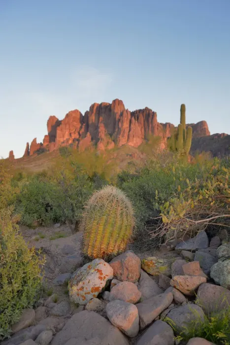 Framed Print : USA, Arizona, Lost Dutchman State Park, Barrel Cactus in front of the Superstition