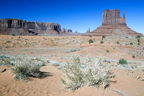 USA, Arizona, Monument Valley. Monument Valley Navajo Tribal Park, located on the