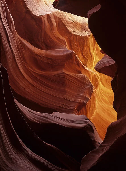 USA, Arizona, Navajo Tribal Land. Reflected sunlight creates amber walls in Antelope