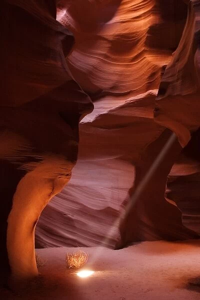 USA, Arizona, Page, Antelope Canyon. Sunbeam shining into the canyon illuminating a tumbleweed