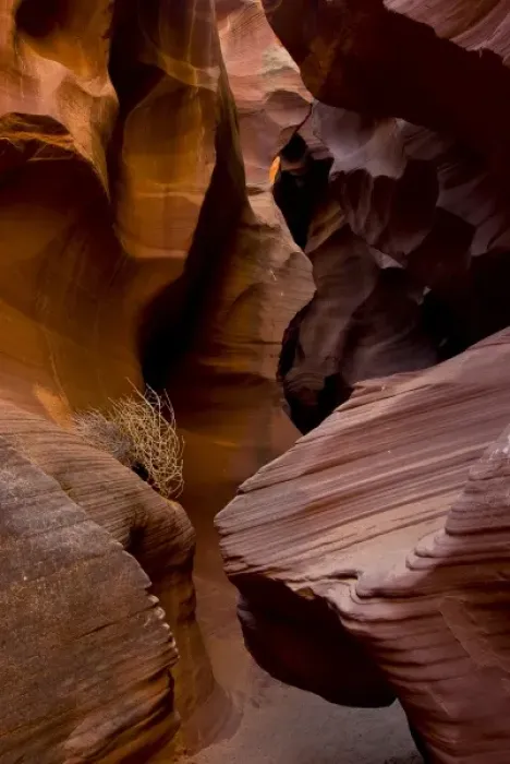 Framed Print : USA, Arizona, Page. Reflected sunlight creates amber walls in Waterholes or Secret Canyon