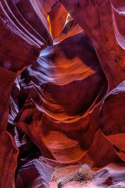 USA, Arizona, Paige. Rock patterns in Antelope Canyon
