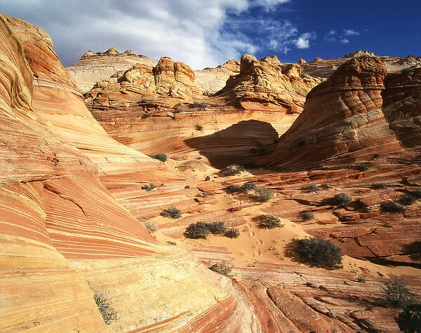 USA, Arizona, Paria Canyon, Sandstone formations at Coyote Buttes area