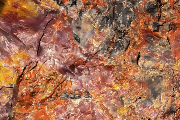 Framed Print : USA, Arizona, Petrified Forest National Park. Close-up of petrified tree Framed Print : USA, Arizona, Petrified Forest National Park. Close-up of petrified tree