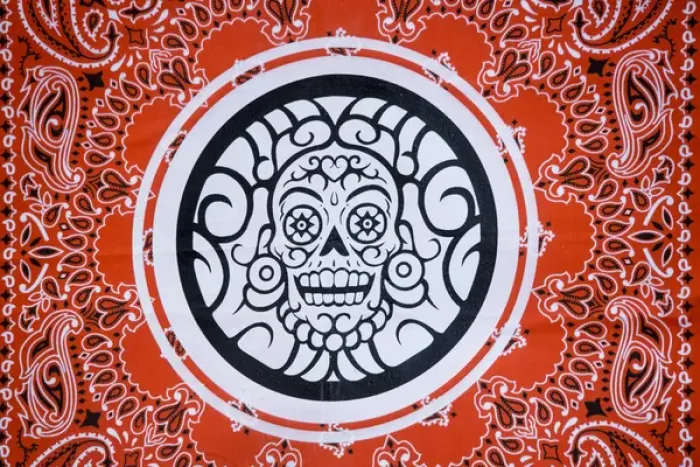 Framed Print : USA, Arizona, Phoenix, Desert Botanical Garden. Bandana with skull design. Credit as Framed Print : USA, Arizona, Phoenix, Desert Botanical Garden. Bandana with skull design. Credit as