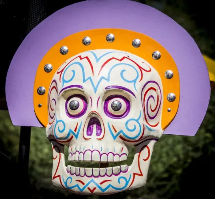 Framed Print : USA, Arizona, Phoenix, Desert Botanical Garden. Arty skull displayed at celebration Framed Print : USA, Arizona, Phoenix, Desert Botanical Garden. Arty skull displayed at celebration
