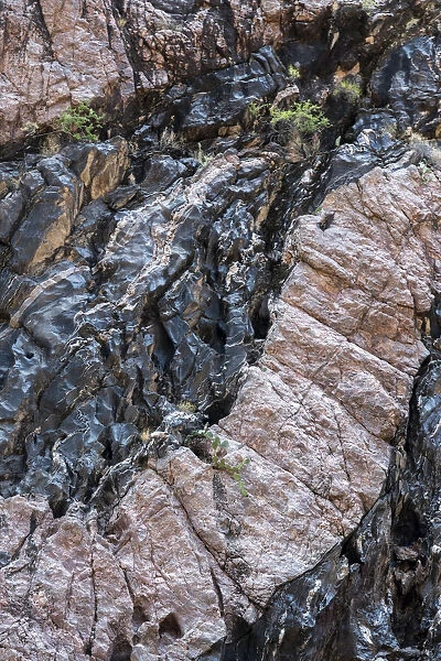 USA, Arizona. Pink Granite intrusion at the bottom of the Grand Canyon