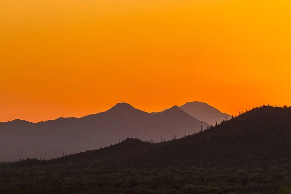USA, Arizona, Saguaro National Park. Tucson Mountains at sunset