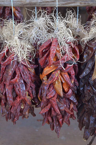 USA, Arizona, Sedona, Hanging dried chili peppers