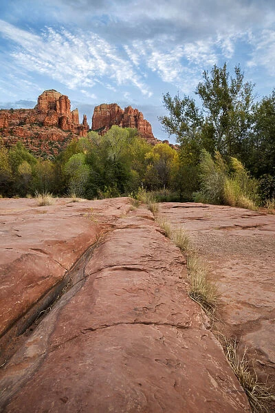 USA, Arizona, Sedona, Red Rock State Park, Cathedral Rock