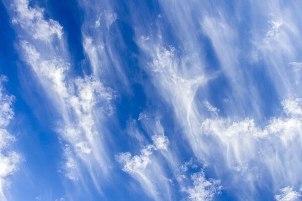 USA, Arizona, Sonoran Desert. Morning cloud formations