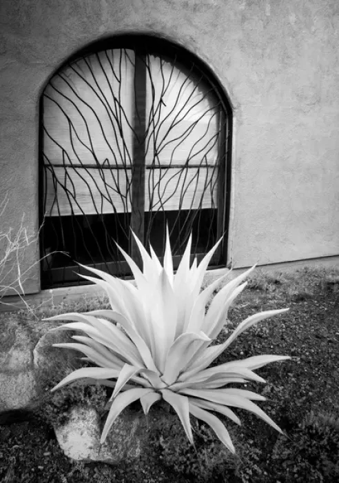 Framed Print : USA, Arizona, Tucson, Cat Mountian Station & Lodge