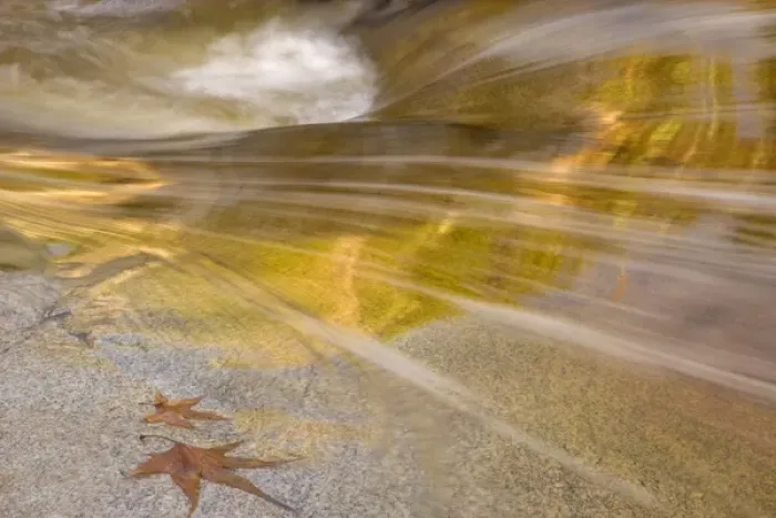 Framed Print : USA, Arizona, Tucson, Catalina State Park. FMaple leaves next to flowing water in the Romero Pools