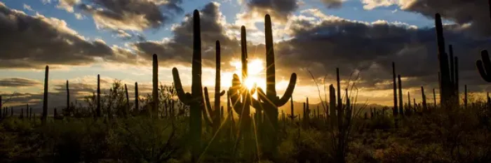Framed Print : USA, Arizona, Tucson, Saguaro National Park, Tucson Mountain District