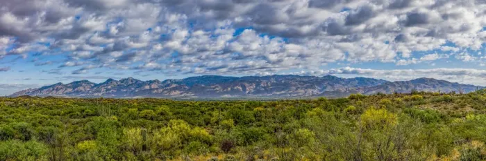 Framed Print : USA, Arizona, Tucson, Saguaro National Park Framed Print : USA, Arizona, Tucson, Saguaro National Park
