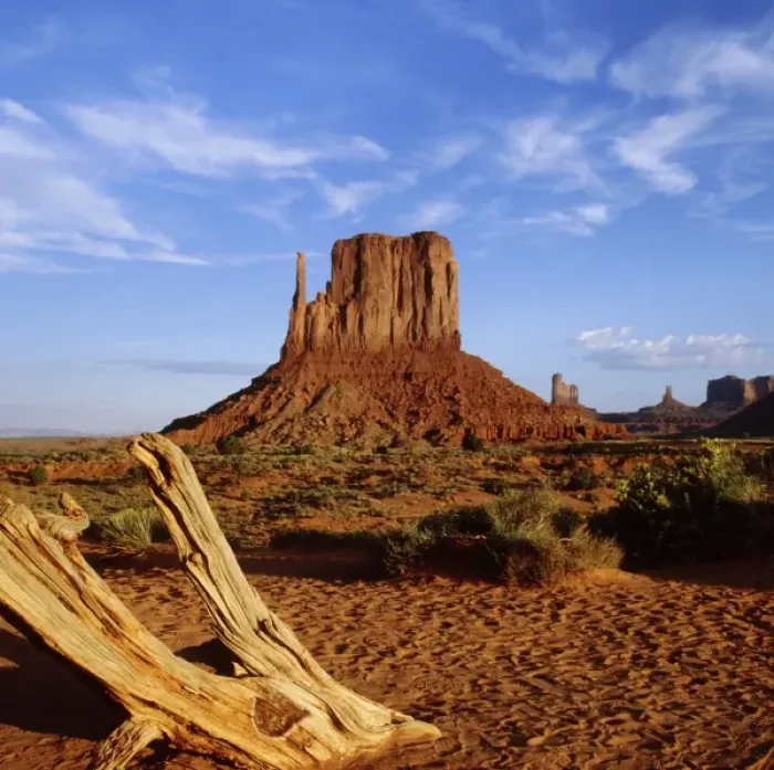 Framed Print : USA, Arizona and Utah, Mitten Butte and Bleached wood, Monument Valley, Navajo Tribal Framed Print : USA, Arizona and Utah, Mitten Butte and Bleached wood, Monument Valley, Navajo Tribal