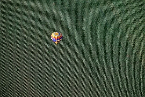 USA, Arizona, Val Vista. A brightly colored hot-air balloon soars above farmland