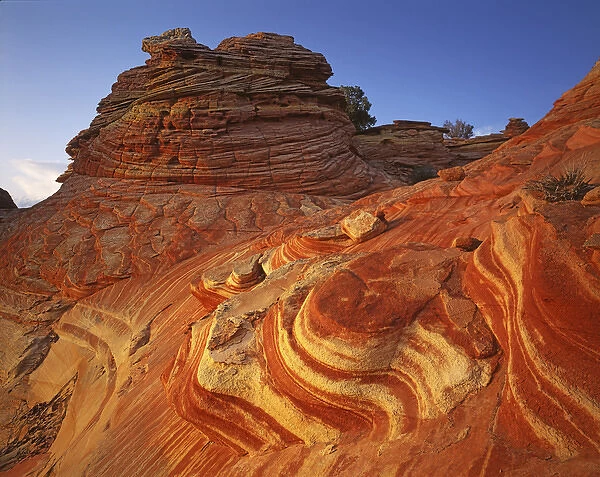 USA, Arizona, Vermilion Cliffs National Monument, Paria-Vermilion Cliffs Wilderness