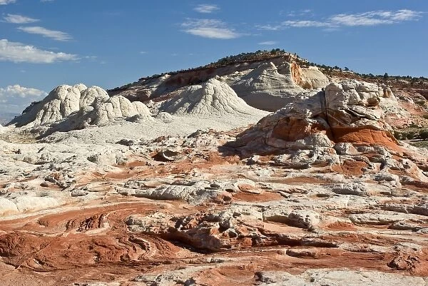 USA, Arizona, Vermilion Cliffs National Monument. Red and white toned sandstone formations