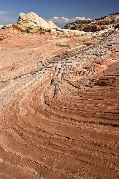 USA, Arizona, Vermilion Cliffs National Monument. Red sandstone swirls at White Pocket