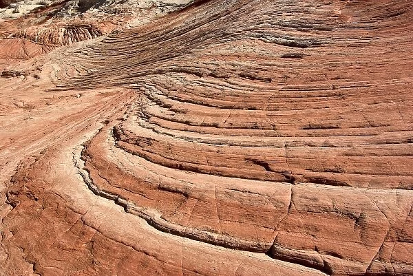 USA, Arizona, Vermilion Cliffs National Monument. Red layered sandstone swirls at White Pocket