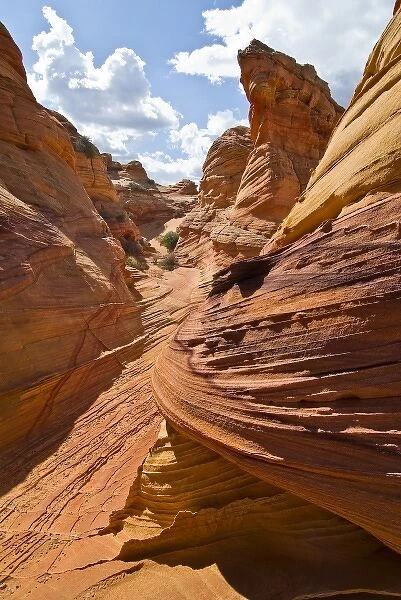 USA, Arizona, Vermillion Cliffs National Monument. Colorful sandstone formations