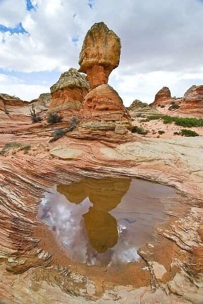 USA, Arizona, Vermillion Cliffs National Monument. Water pool in sandstone formations